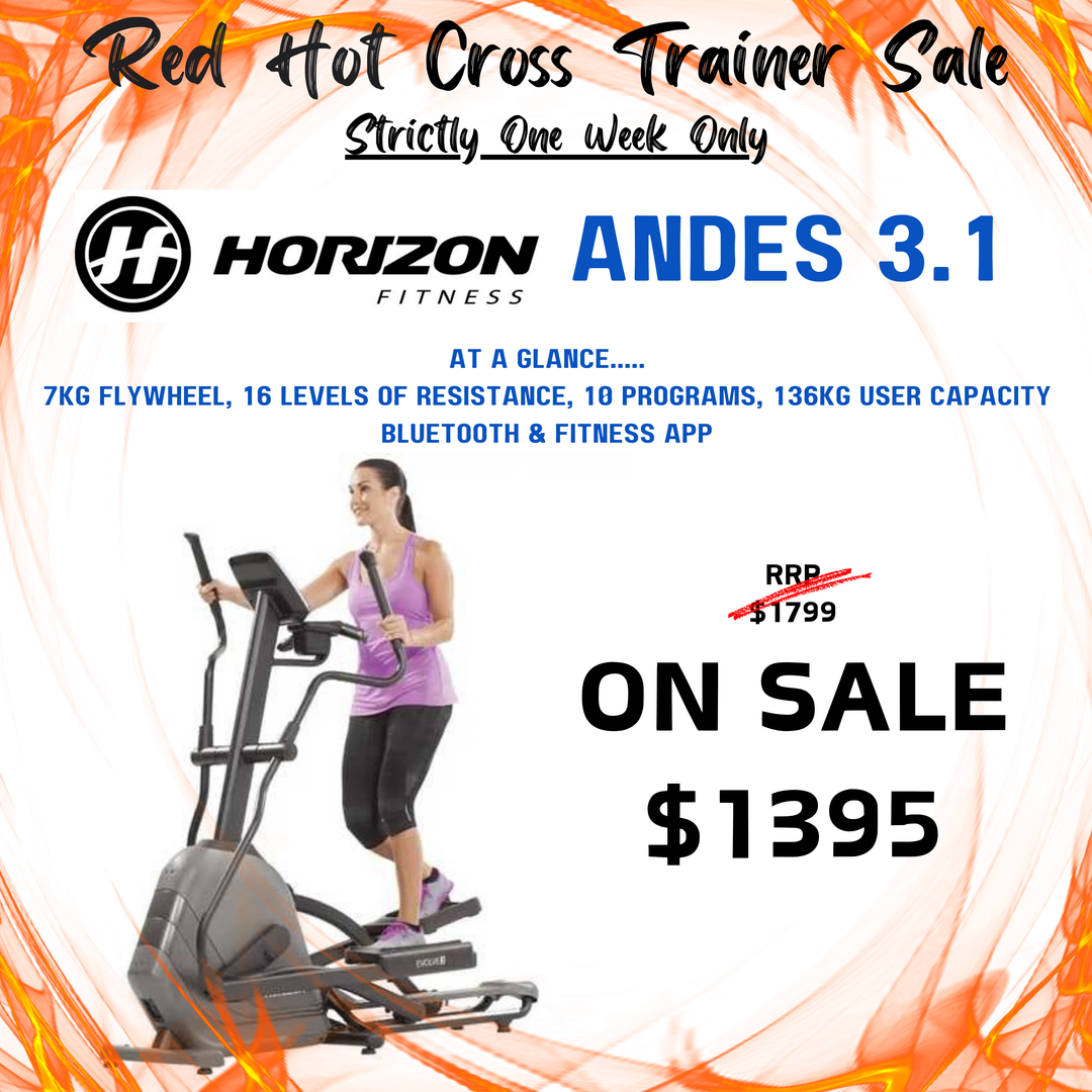 Horizon Andes 3.1 Elliptical Trainer The Fitness Solution